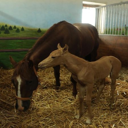 Ranc Milovice Milovice (Zlin) Bagian luar foto
